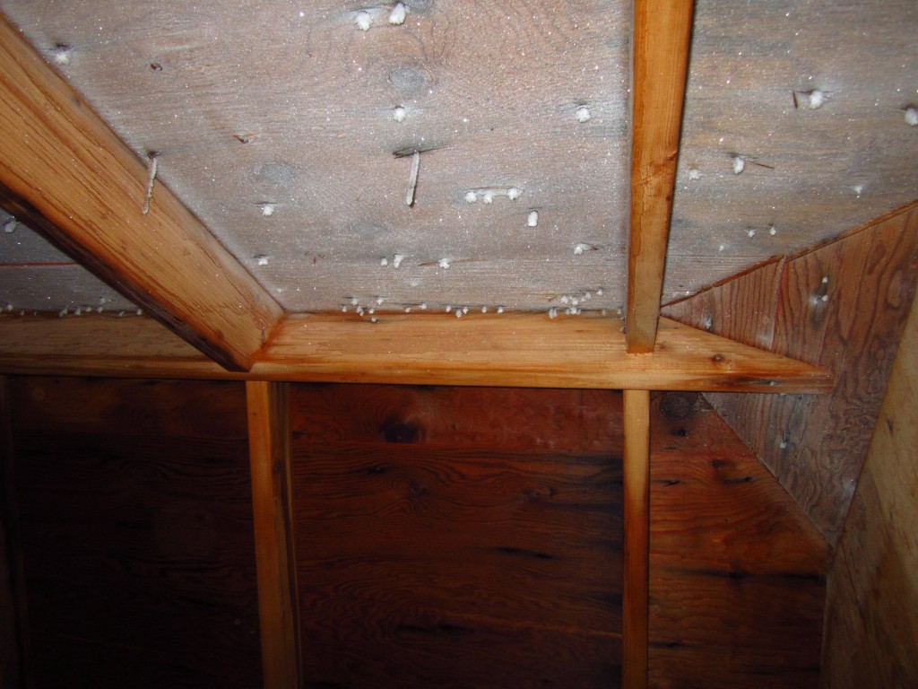 Frost Damage Attic Issues