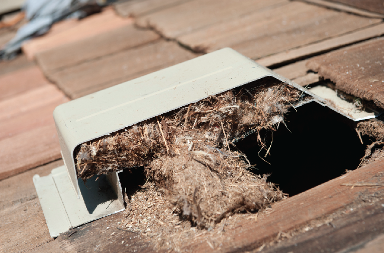 Minneapolis roof geek saws vent in half for science
