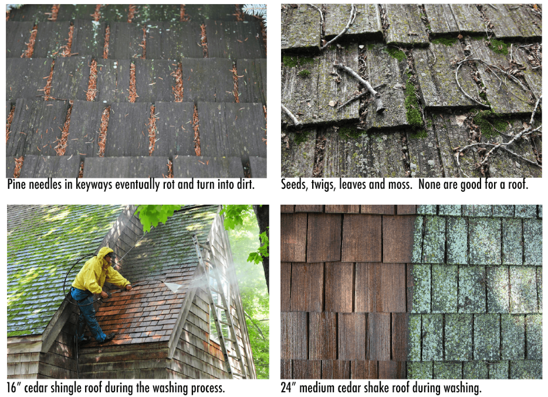 Removing Moss and Lichen from Minneapolis Cedar Roofs Kuhl's Contracting