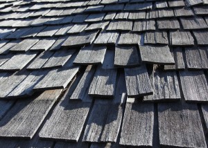 Wood roof fraud up close in Minneapolis