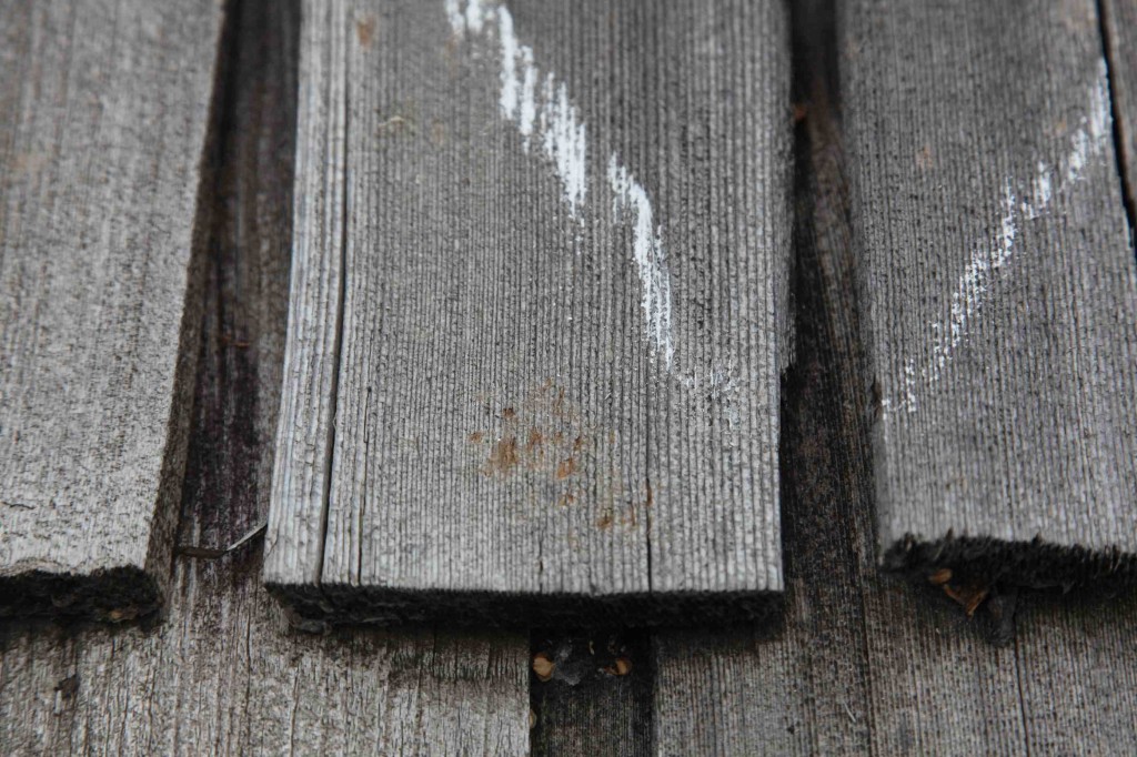 This hail dented wood roof is denied coverage by insurance company. Bummer. Your claim is denied.